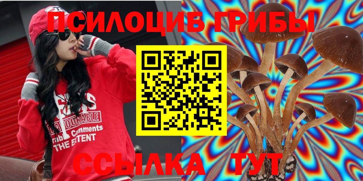 Псилоцибиновые грибы Psilocybine cubensis Кимовск