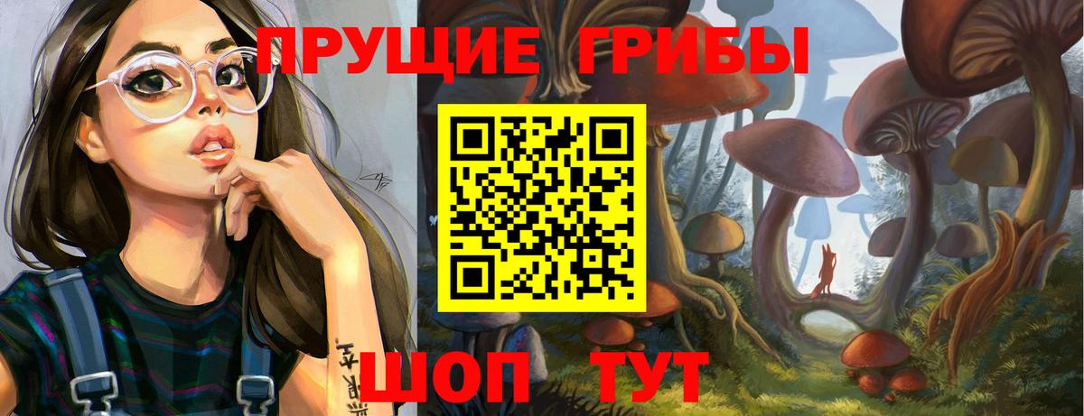Кимовск  закладка  Вход с VPN  Псилоцибиновые грибы MAGIC MUSHROOMS 